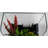 1 Gallon AquaTerrium™ Aquarium Tank