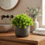 Faux Succulent in Fiberstone Pot-1601367876
