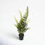 Faux Fern Plant in Pot-1069991427