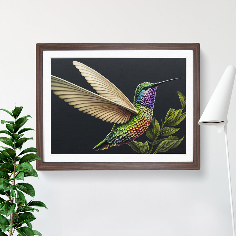 Illuminated Hummingbird - Single Picture Frame Print, 46cm H x 64cm W x 2cm D, Walnut