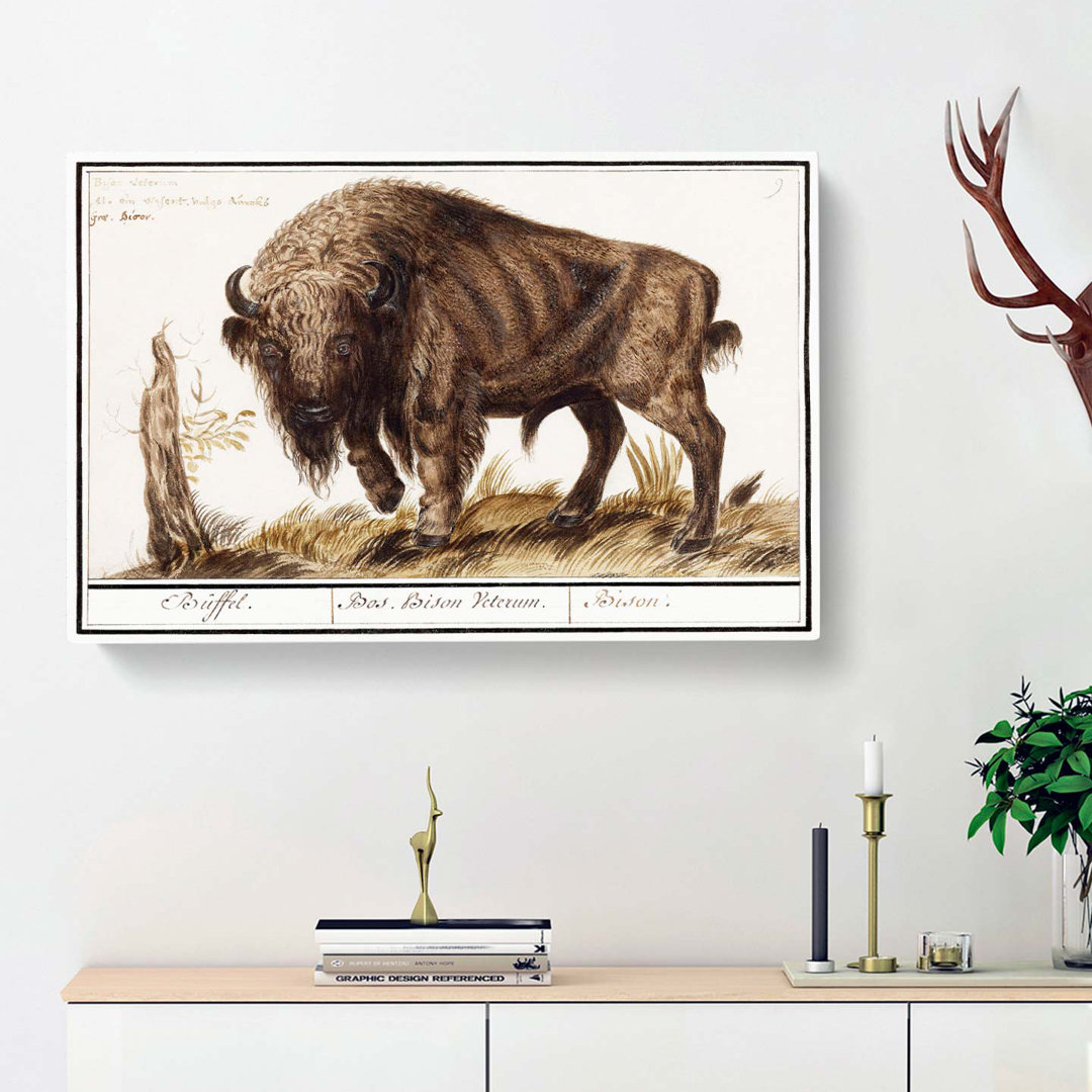 Bison by A.B. De Boodt - Wrapped Canvas