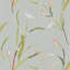 Saona Wallpaper-50900669