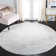 Adamson Gray/Ivory Area Rug