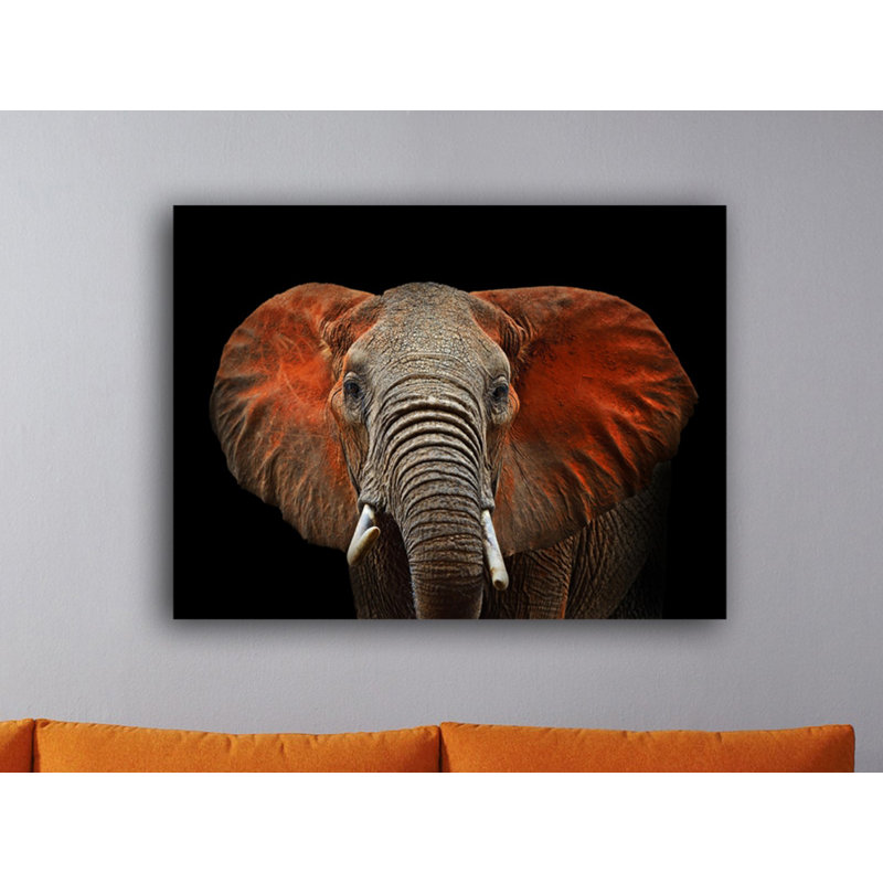 «African Elephant», reproduction de photo sur toile tendue , H 24 po x l 36 po x P 1 po