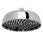 Transitional 8" Rain Showerhead-54540620
