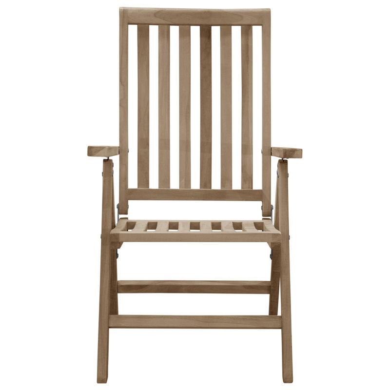 Baek Folding Patio Dining Armchair with Cushion