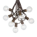 Outdoor 100 - Bulb 100'' Plug-in Globe String Light