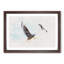 Pair of Flying Seagulls - Framed Print-56851885-56851886
