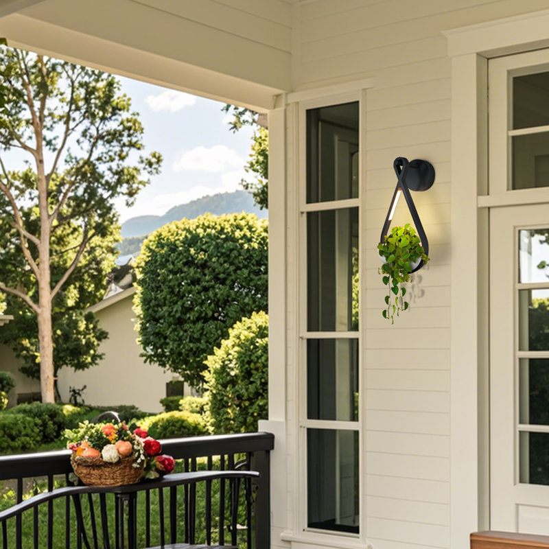 Outdoor Wall Mount Lighting With Plant-Friendly Design