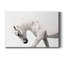 Neutral Stallion - Photographie sur toile tendue-968637653
