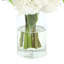 Hydrangeas and Viburnum Arranged in a Glass Vase