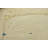 Mosser Cream Rug