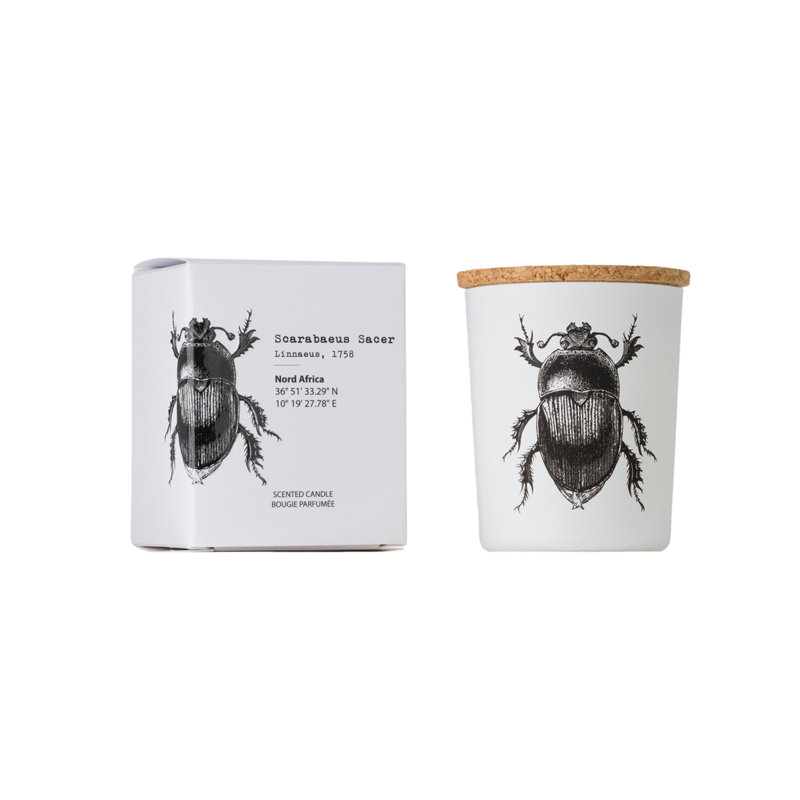 Bougie en pot Insecte Scarabeus Sacer 3,35 de diamètre x 4,13 po, 2,6 oz Pot