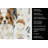White with Sable Papillon Coffee Bar Kitchen Towel-1168063463