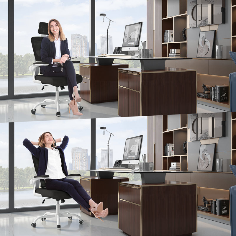 Motonobu Ergonomic Office Chair with Mesh Lumbar Support, Black, White