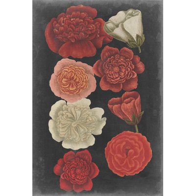 " Midnight Roses " by Vision Studio
