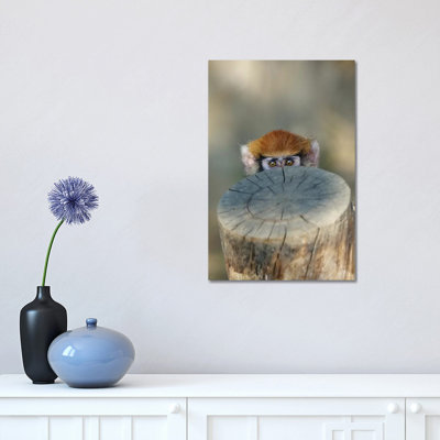 Haloo 1 Piece Wrapped Canvas Wall Art