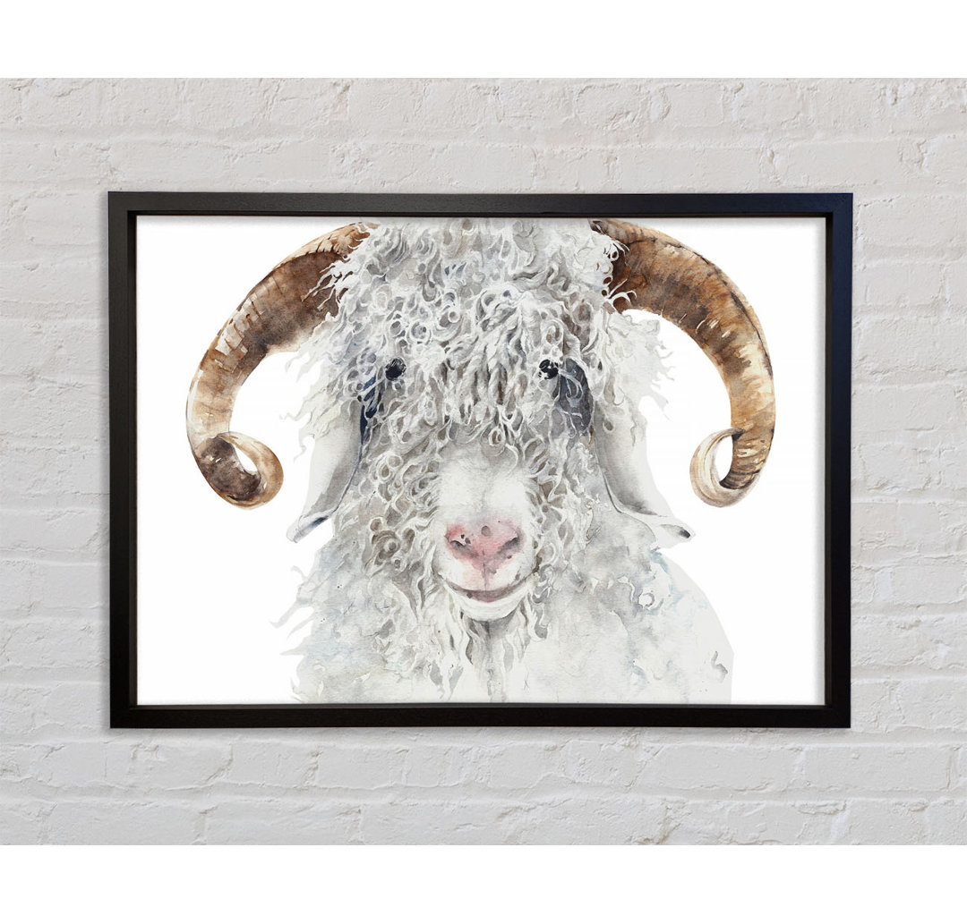 Sheep Beauty - Einzelner Bilderrahmen Kunstdrucke auf Leinwand