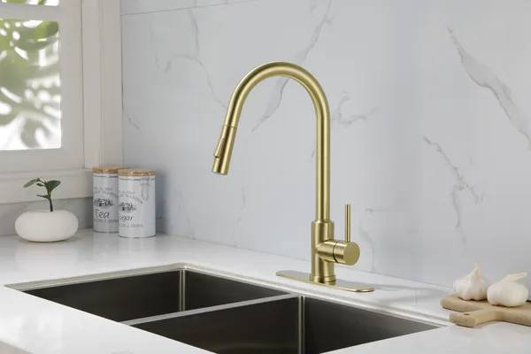Kitchen Faucet with Pull Down Sprayer