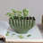 Jillien Stoneware Table Vase