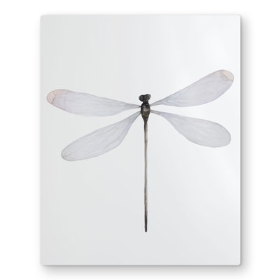 Minimalist Dragonfly - Insect Gray Metal Print for Home Decor
