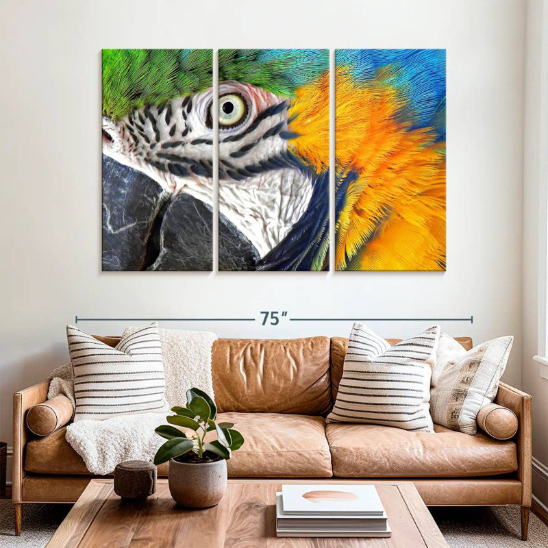 Brampt Macaw Eye, 42" H x 65" W