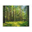 No Frame Print on Canvas-1752974638