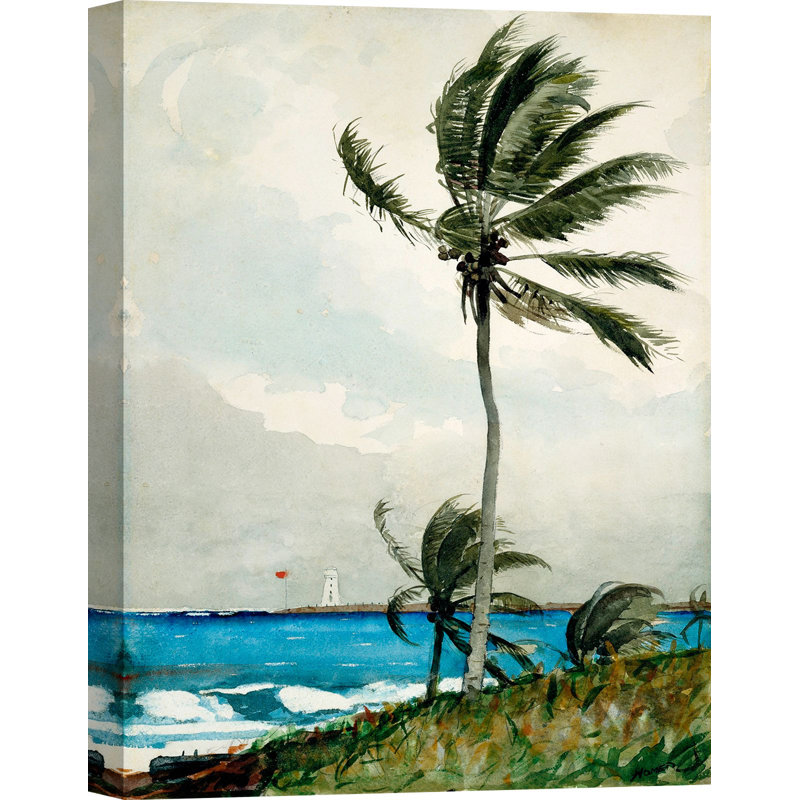 Palm Tree, Nassau by Winslow Homer - Wrapped Canvas Print, 70cm H x 50cm W x 4cm D