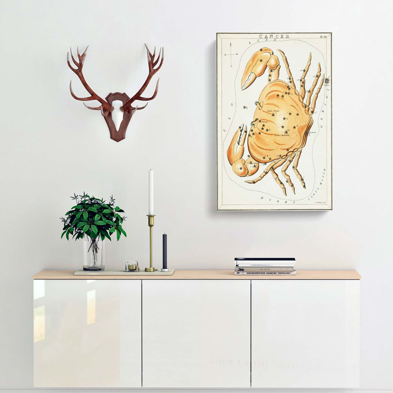 Astronomical Zodiac Chart Of The Cancer - Wrapped Canvas Print, 76cm H x 50cm W x 3cm D