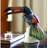 Rickards Animals Decorative Object