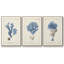 Corail antique en bleu marine, ensemble de 3 pièces encadrées sur toile-97760006-97760004