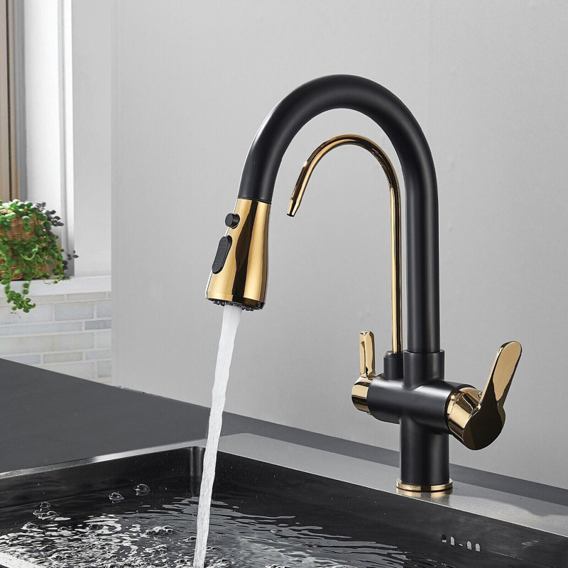 Belfry Kitchen Alfon Pull Out Kitchen Faucet