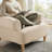Latitude Run® Piasa Opal Oversized Armchair Set of 2 - Plush Accent Chairs, Modern Living Room Lounge Chairs with Sturdy Metal Legs, Comfortable Single-Seat Sofa for Bedroom, Apartment, Office-108258998