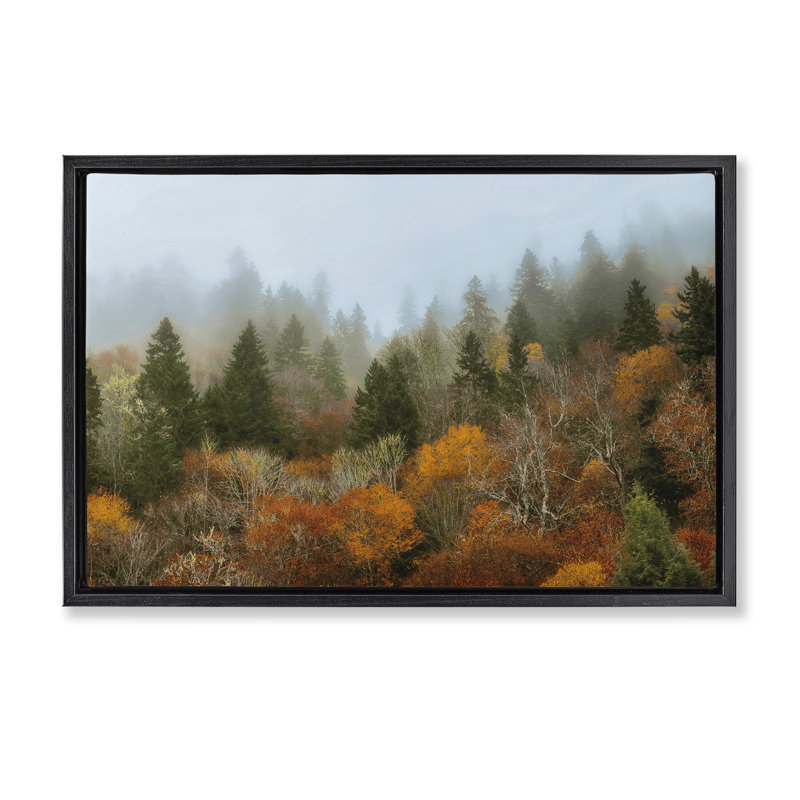 Cadre flottant Autumn Mountain, conception par D. Burt, Cadre flottant noir de jais, H 17 po x l 25 po