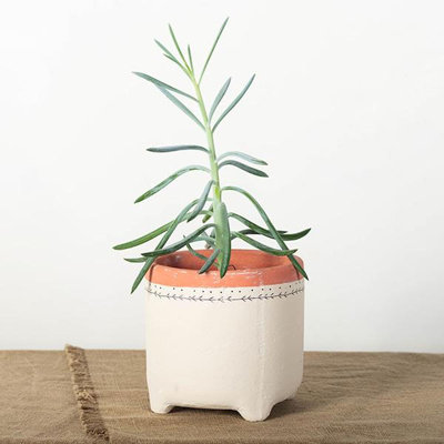 Foday Planter