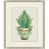Aloe Pot 5 Print