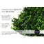 Feuillage vert Holly artificiel protégé contre les rayons UV pour la décoration extérieure (ensemble de 2)
