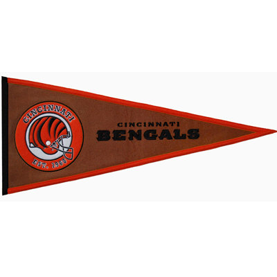 NFL Double Sided 13'' H x 32'' W Wool Pennant