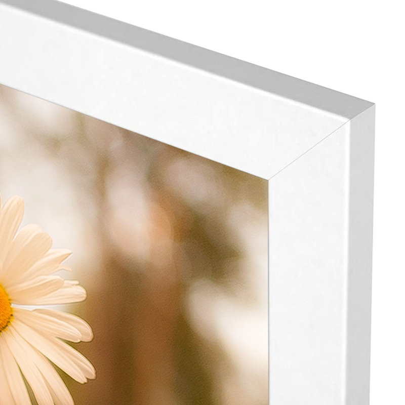 Picture Frame, 8" x 10", White