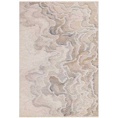 Aggarwal Abstract Area Rug