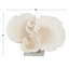 Sculpture corail blanc