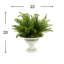 Boston Fern and Moss Arranged in Ceramic Vase