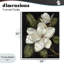 Giclée encadrée Blooming Magnolia Buds, design par Nan-1089520696-1089520700