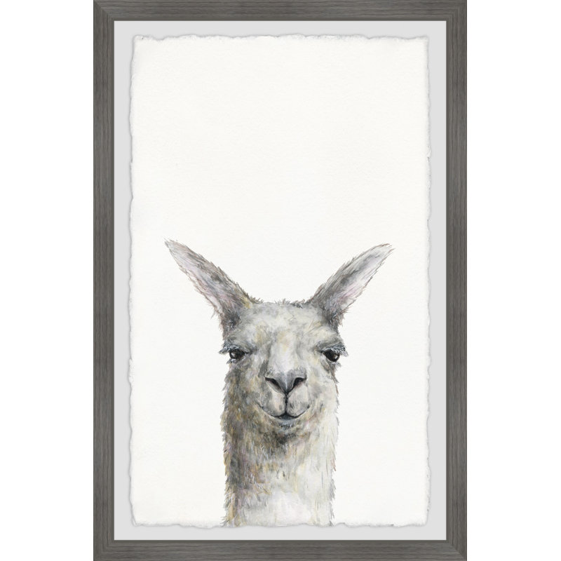 «Mischievous Llama» par Sarahbella, reproduction encadrée, H 36 po x l 24 po x P 1,5 po