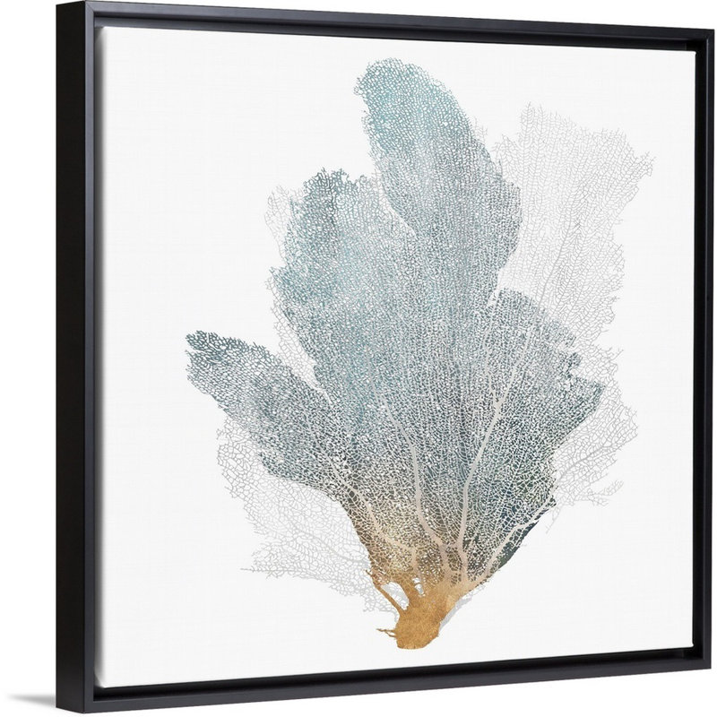 «Delicate Coral II» par Isabelle Z - reproduction d'art sur toile, Toile avec cadre flottant, H 26 po x l 26 po, Noir