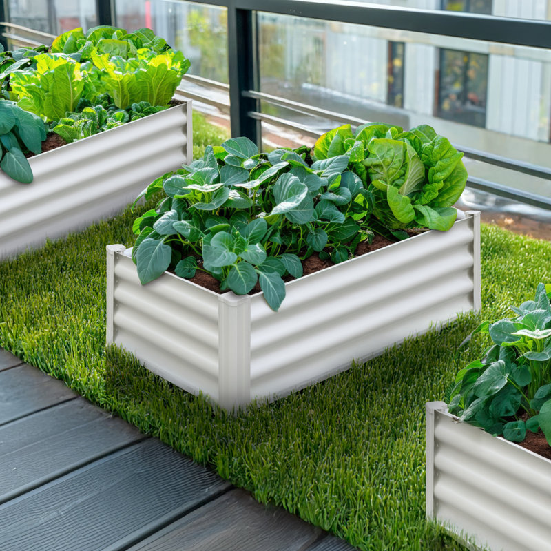 Lit de jardin rectangulaire en acier galvanisé 4 pi x 2 pi x 1 pi The Organic Garden Co Hakea, Blanc