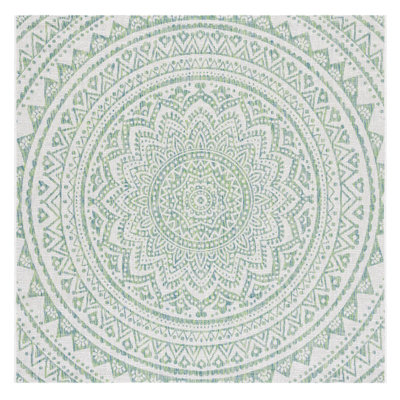 Elida Ivory/Green Indoor/Outdoor Area Rug