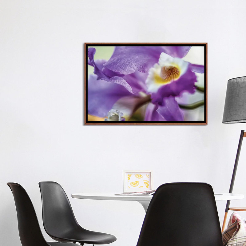 Orchidée mauve iris par Glauco Meneghelli - reproduction de photo, Toile avec cadre en bois brun, Aucun mat