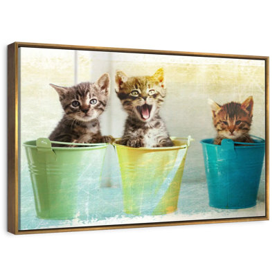 Kittens