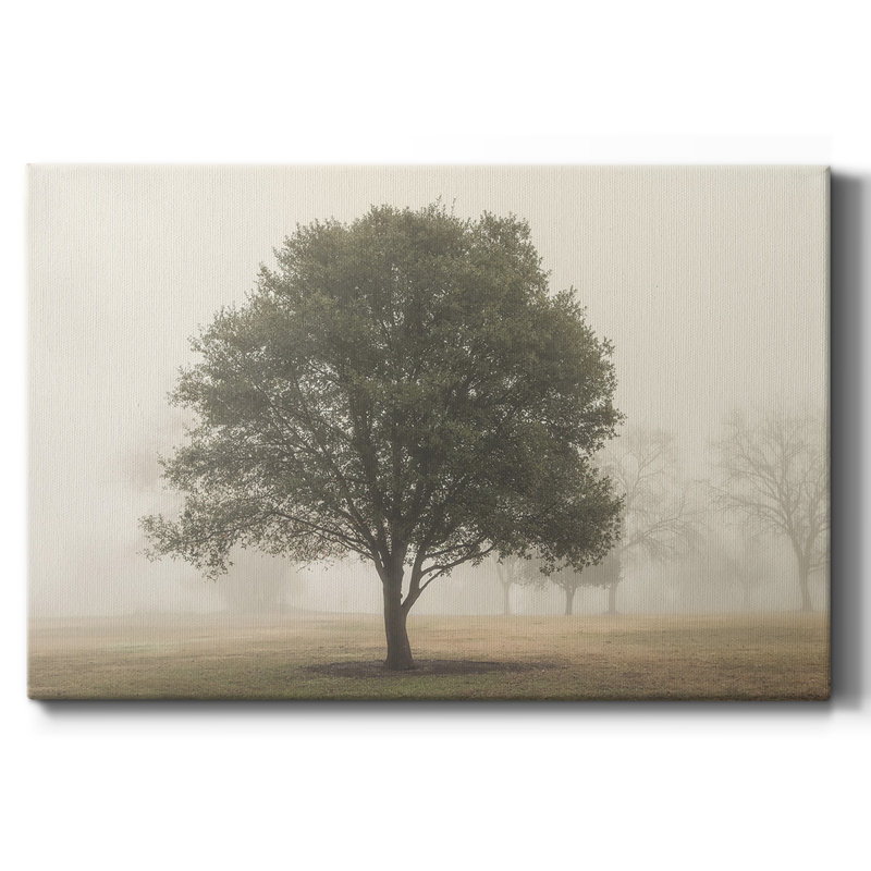 Trees in the Fog I-Gallery Wrapped Canvas, 12" H x 18" W